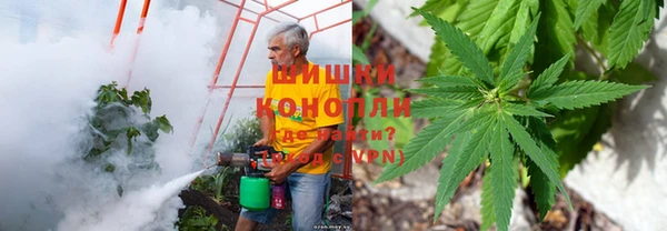 дмт Волосово