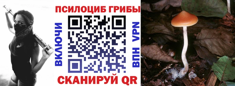 Галлюциногенные грибы Psilocybine cubensis Славянск-на-Кубани